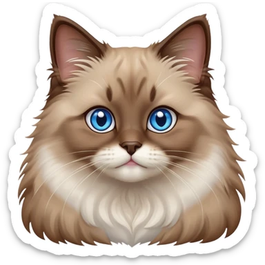 cinematic-adorable-fluffy-brown-ragdoll-cat-portrait-emoji,-head-tilted-cutely-with-big,-sparkling-blue-eyes,-soft-brown-and white-colored-fur-with-darker-points-on-the-ears,-face,-and-paws,-simplified-yet-irresistibly-adorable-features, sticker