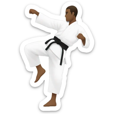 siluette of man doing karate sticker