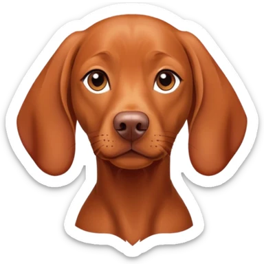 A vizsla female dog sticker