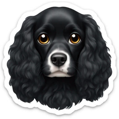 Small completely black king spaniel with black fur on his whole face and white fur on chest sticker
