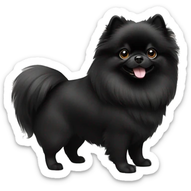 Solid black Pomeranian sticker
