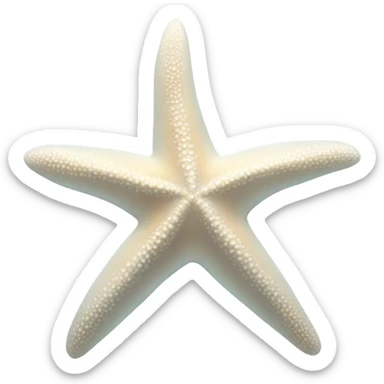 White starfish  sticker