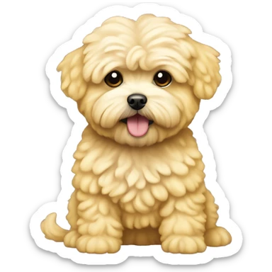 Yellow maltipoo sticker