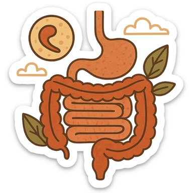 Anatomical illustration of the human digestive system, showing a cell, small intestine, and large intestine. Smooth 3D style, soft shading, clean and simple design.
 sticker