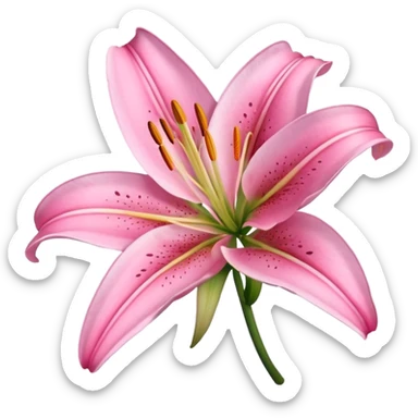 Pink lily flower sticker