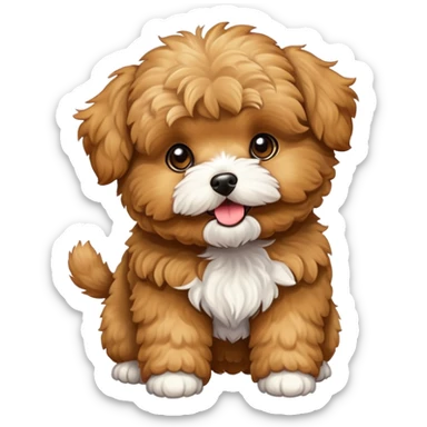 golden brown maltipoo doing tricks sticker