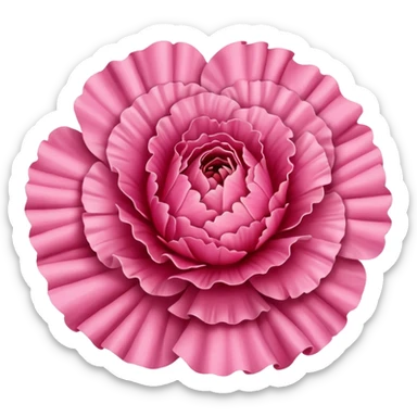 Carnation Flower sticker