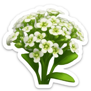alyssum sticker