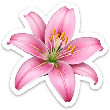 lily flower pink sticker