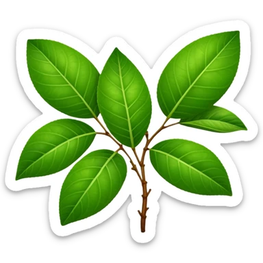 Guava leaves from the guava plant sticker