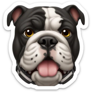 Black bulldog wearing a football helmet sticker