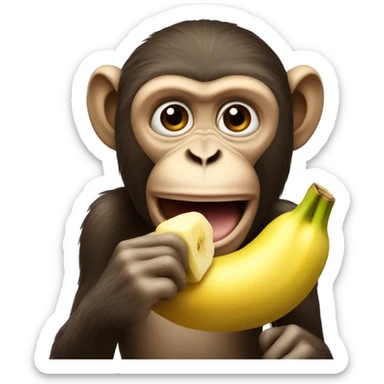 Monkey eating banana  sticker