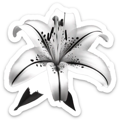 Stargazer lily in black and white sticker