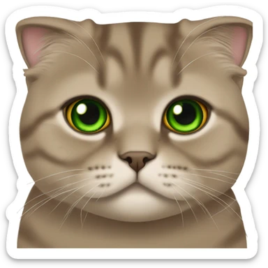 Brown scottish fold with green eyes  sticker