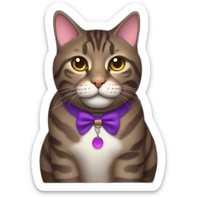 Fat dark brown tabby cat with a purple collar sticker