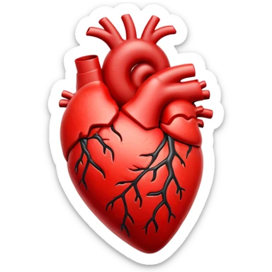 realistic beating heart, anatomical heart sticker