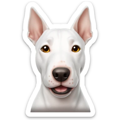 Bull terrier brown and white with amber eyes sticker