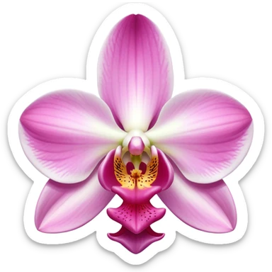 exquisite-phalaenopsis-moth-orchid-with-pure-white-petals-and-subtle-pink-center sticker