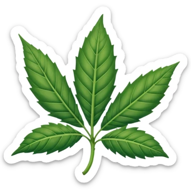 Hoja de mariguana Hoja de mariguana sticker