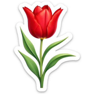 ​Cinematic Realistic Tulip, depicted as a single, exquisitely detailed bloom with vibrant red petals and a delicate stem, softly illuminated by natural light that highlights its graceful beauty and elegant form, sticker