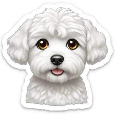 Black ear, white maltipoo sticker