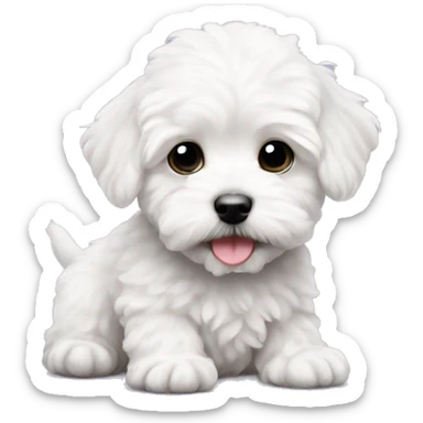 white maltipoo puppy sticker