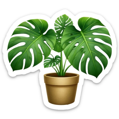 Monstera plant sticker