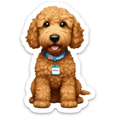 Mini brown golden doodle with a name tag that says Maui sticker