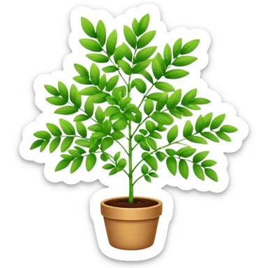 Rue plant sticker