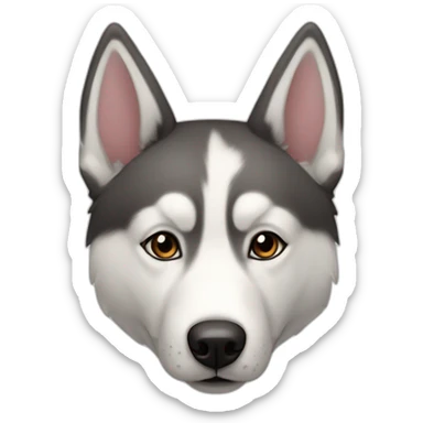Chien husky, croisé border coller sticker