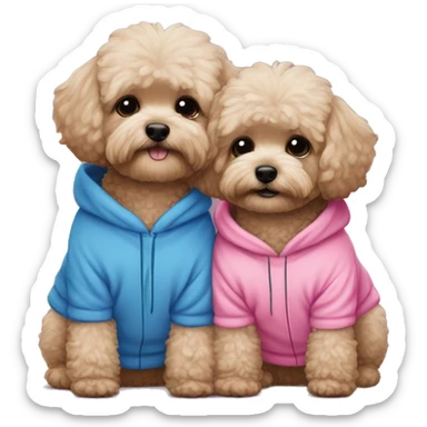 2 dark maltipoo dogs hugging, one wearing a pink sweatshirt and the other wearing a blue sweatshirt sticker