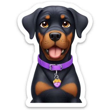 Rottweiler dog wearing a purple collar ￼ sticker