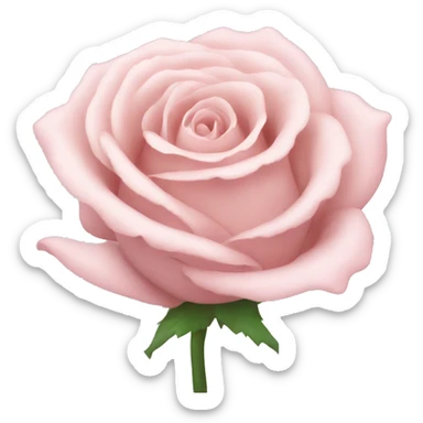 pale pink rose sticker