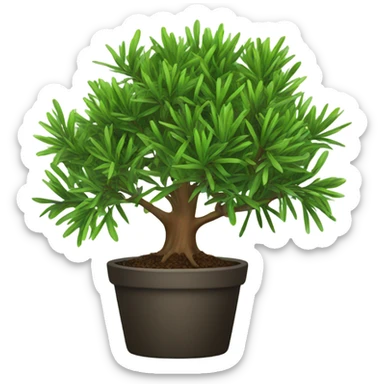 tea tree sticker