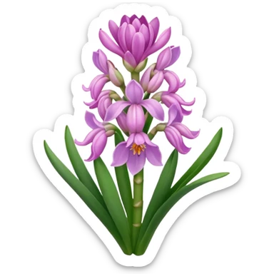 a light margenta  Hyacinth sticker