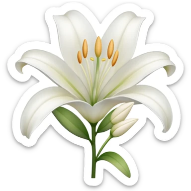 lily flower  sticker