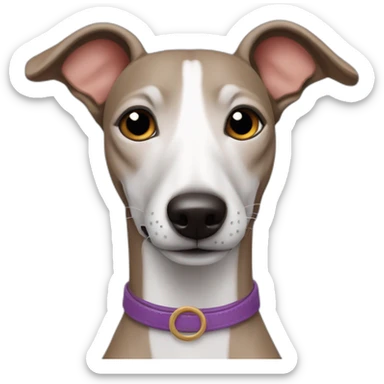 italian piccolo greyhound dog sticker