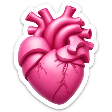 Realistic human heart with a pink bow on it sticker
