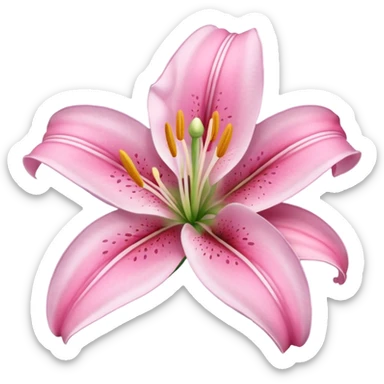 lily flower pink sticker