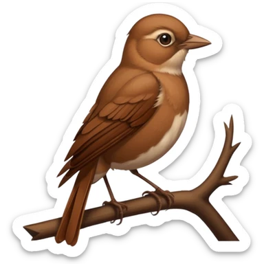 Nightingale sticker