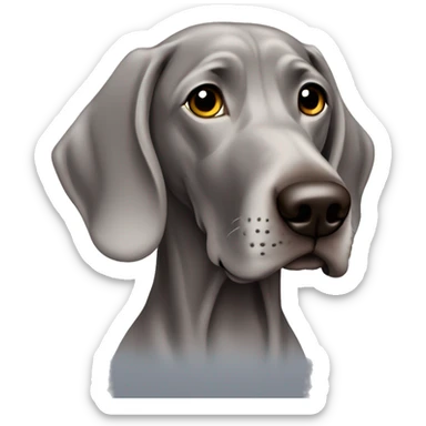 Weimaraner  sticker