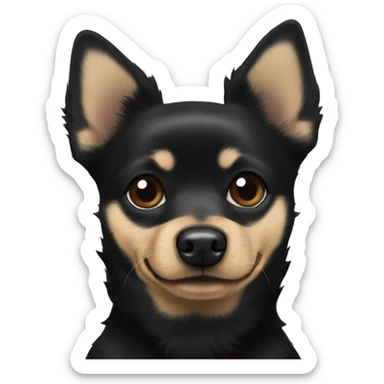 Black schipperke half chihuahua mix sticker