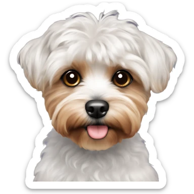 Yorki poo with black curly hair and white patch on chest sticker
