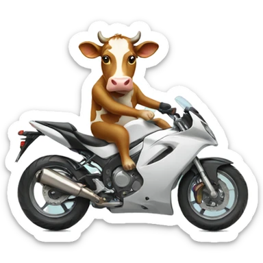 cow on motorbike sticker