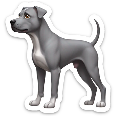 Pitbull greyhound mix sticker