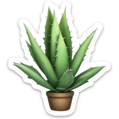 Agave plant  sticker
