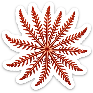 feather star sticker