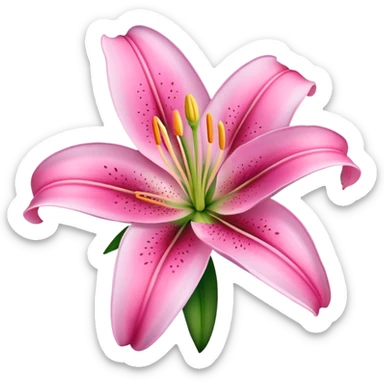 Pink lily  sticker