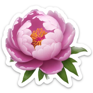 peonie sticker