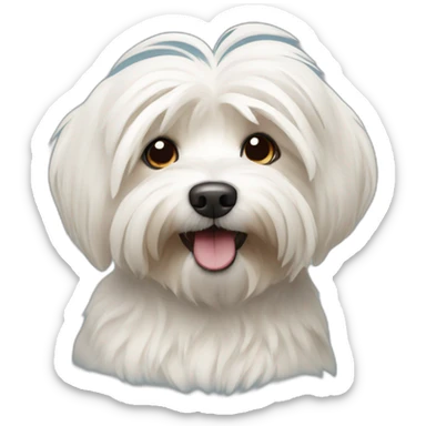 Havanese dog sticker
